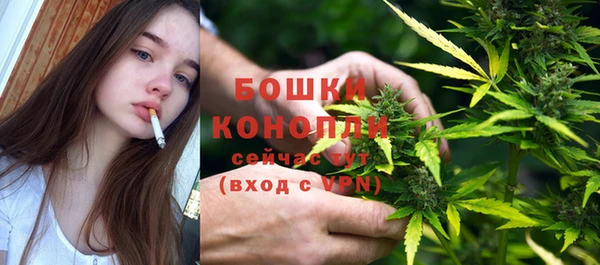 PSILOCYBIN Приозерск