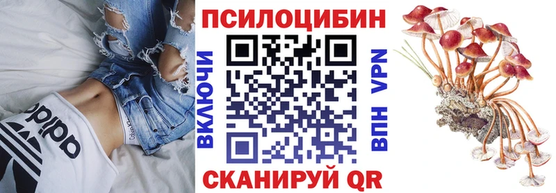 Псилоцибиновые грибы MAGIC MUSHROOMS  кракен tor  Яхрома  цена  